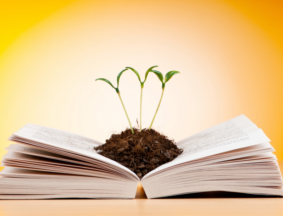 Plantas creciendo sobre un libro abierto